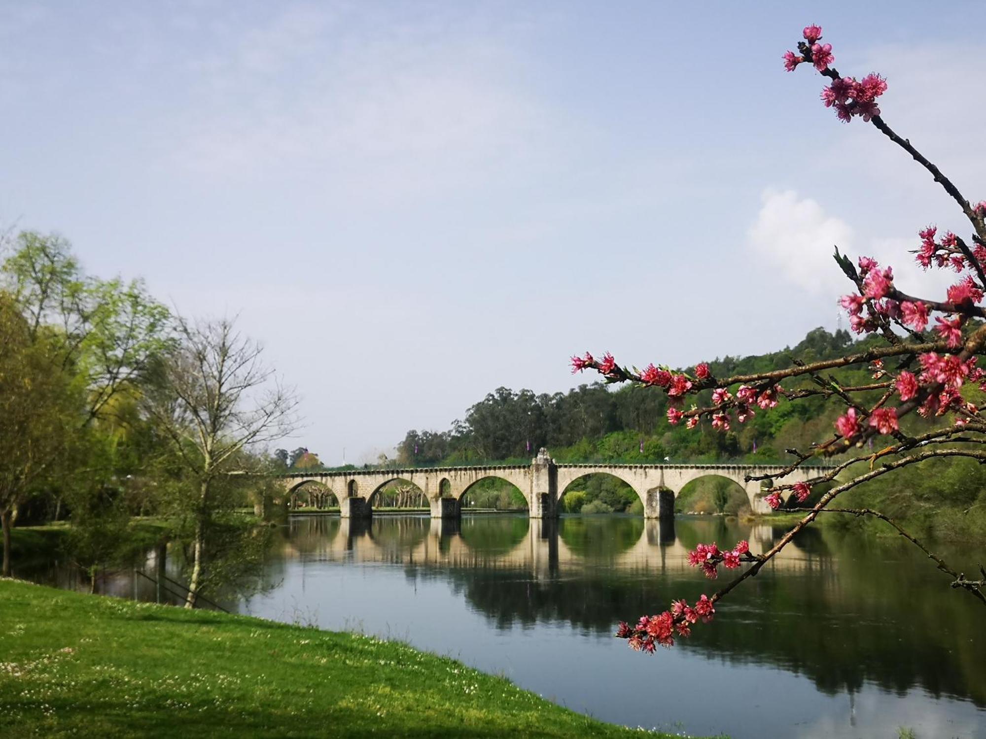 Quinta De Cypriano - Wine & Nature Ponte da Barca Eksteriør billede