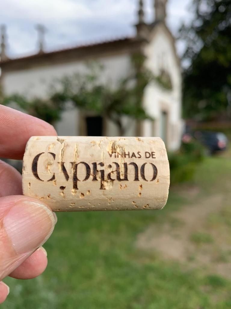 Quinta De Cypriano - Wine & Nature Ponte da Barca Eksteriør billede