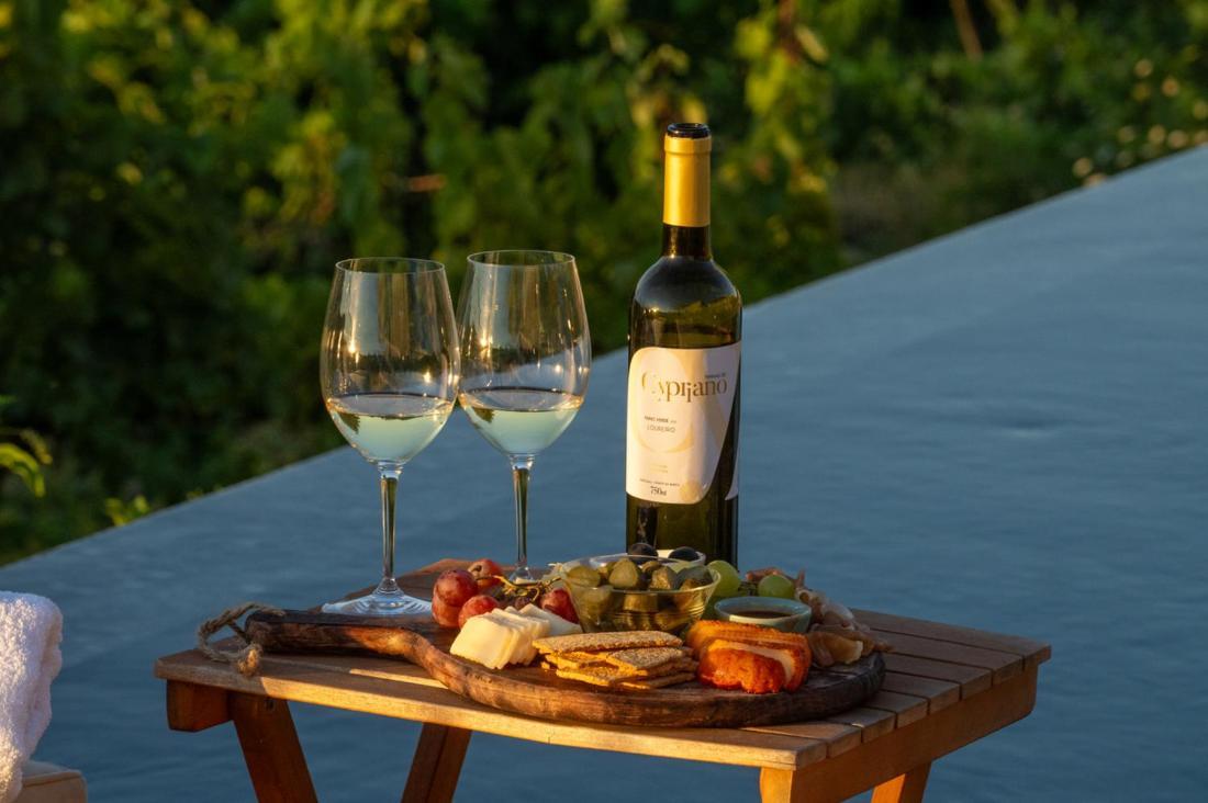 Quinta De Cypriano - Wine & Nature Ponte da Barca Eksteriør billede